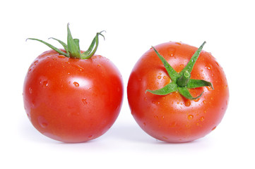Tomatoes with water drops on the white