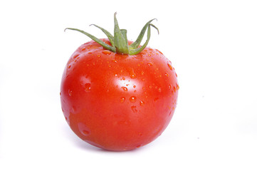 Tomato with water drops on the white