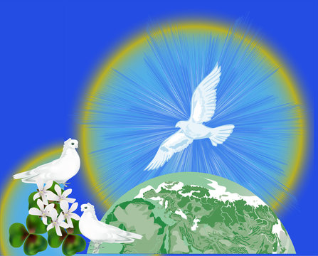 three white doves in blue sky