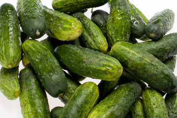 A fresh green cucumber isolated on a white background