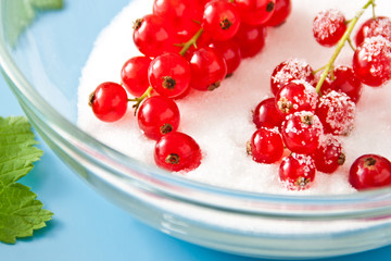 Johannisbeeren und Zucker