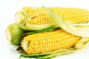 fresh corn