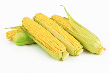 fresh corn