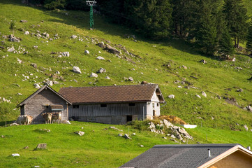 Appenzeller Land - Alpen - Schweiz