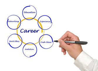 Diagram of career success