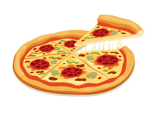 Vector Pizza Slices isolated on white