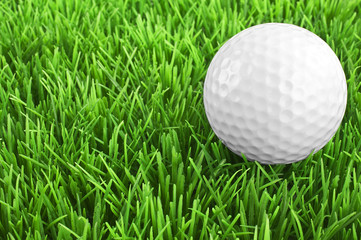 White Golfball  on the green
