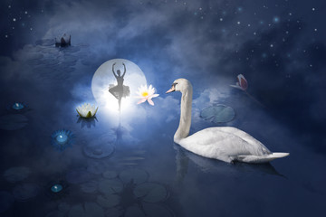 Swan with ballerina at moon