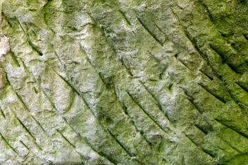 Bemooste Sandsteinmauer
