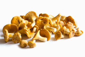frische Pfifferlinge