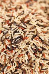 variety of rice