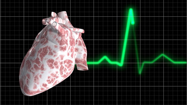 Heart and ECG Trace - Heart Rotating