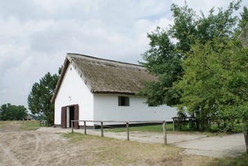 Bauernhof-Motiv, Stall