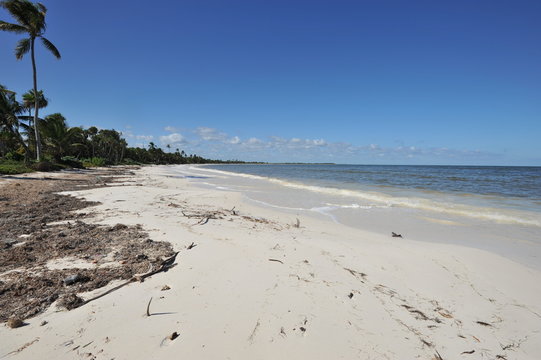 Beach Coastine at Tulum Mexico
