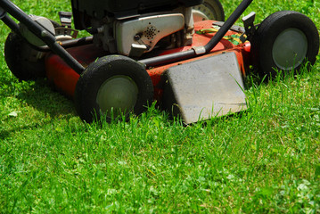 Fototapeta premium Alter Rasenmäher