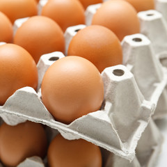 Eggs in paper tray