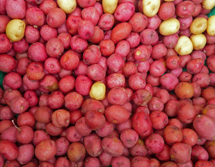 small potatoes at a local farmer's market