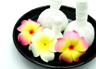 Obraz na płótnie Canvas Thai Spa Herbal Set masaż w zasobniku na białym tle