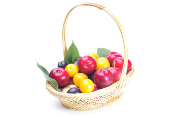 fruits