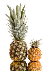 Fototapeta premium pineapple