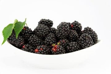 wild blackberries