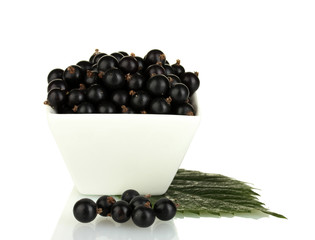 Fresh black currant in white bowl isolated on white