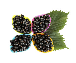 Fresh black currant in silicone molds isolated on white