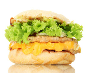 tasty sandwich, isolated on white