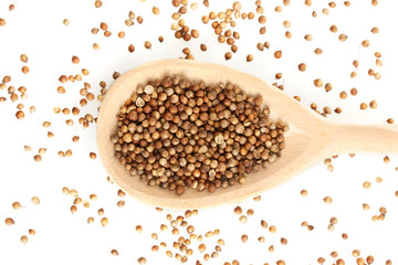 Heap coriander seeds in wooden spoon