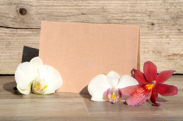 Brief Gutschein Orchideen