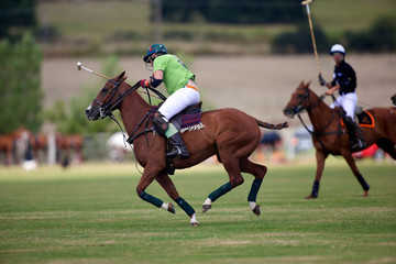 polo sport a cheval