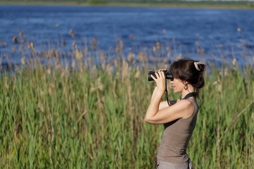 wildlife observation