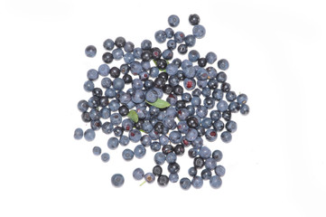 Berries of bilberry on a table