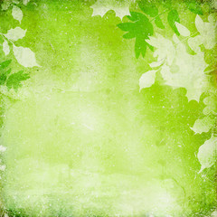 grunge background with leaves
