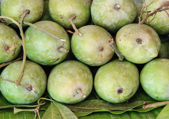 Ripe mango