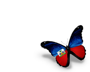 Haiti flag butterfly, isolated on white background