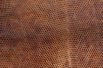Snake skin texture background
