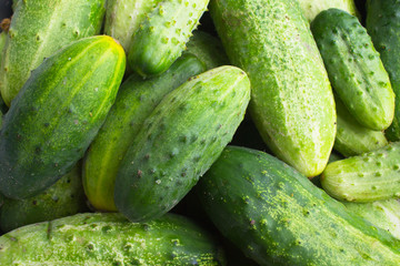 Cucumber background
