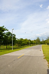 Fototapeta na wymiar empty road in the park