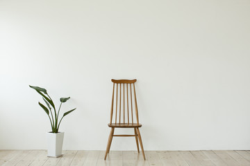観葉植物と椅子