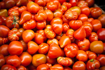 tomatores background