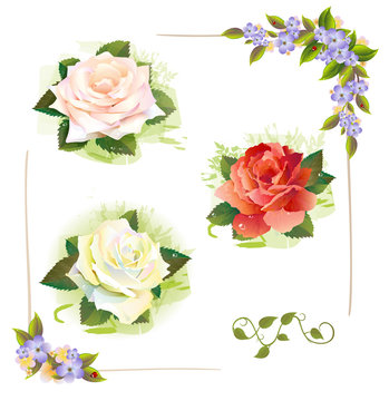 Set of roses. Vintage style. Imitation of watercolor painting.