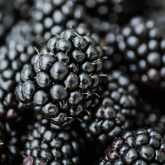 blackberry