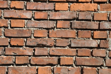 Obraz premium Ziegelmauer