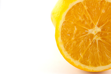 Navel seedless orange fruite isolated on white