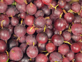 Gooseberries