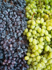Blue and green grapes