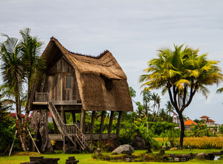 Fototapeta na wymiar krajobraz Indonezja, Bali