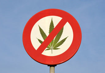 Red and white reflective prohibition sign with canabis leaf