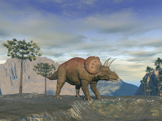 Triceratops © anibal